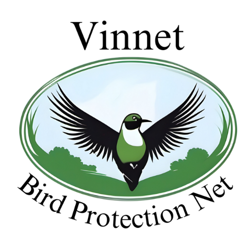 Vinnet
